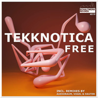 Tekknotica - Free (Vogel & Hauter Remix) (Schaltwerk 019) by Christian Vogel Music