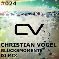 Schaltwerk Podcast Episode #024: Christian Vogel - Glücksmomente DJ Mix by Christian Vogel Music