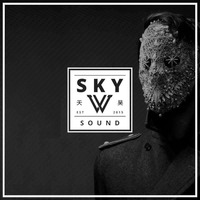 New World Collection 1.0 - Sky Wu Sound  by Sky Wu Sound
