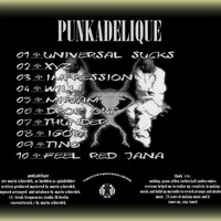 02 - Punkadelique XYZ I Universal Sucks Album by *o_^ - Punkadelique - ^_o* (MARIO SCHWEDEK AT FREAK FREQUENCIES STUDIO BERLIN)