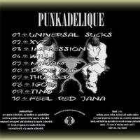06 - Punkadelique Drop Out I Universal Sucks Album by *o_^ - Punkadelique - ^_o* (MARIO SCHWEDEK AT FREAK FREQUENCIES STUDIO BERLIN)