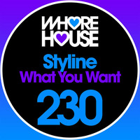 Styline - What You Want (Original Mix) by Styline