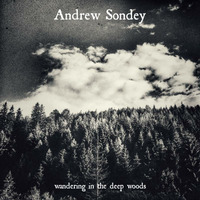 Andrew Sondey - Wandering In The Deep Woods by Andrew Sondey