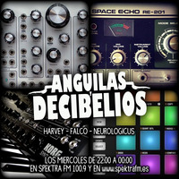 10º  "Anguilas y Decibelios" especial Música Electrónica by Anguilas y decibelios
