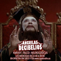 13º programa Anguilas y decibelios  Especial &quot;Artes marciales&quot; by Anguilas y decibelios