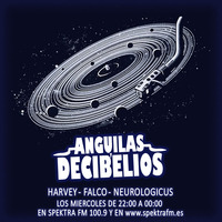 16º Programa &quot;Anguilas y decibelios&quot; el 1º del 2019 by Anguilas y decibelios