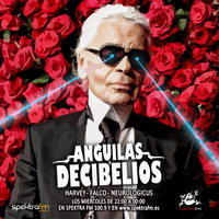 23 programa "Anguilas y decibelios" Spektra fm by Anguilas y decibelios