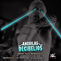 25º Anguilas y decibelios by Anguilas y decibelios
