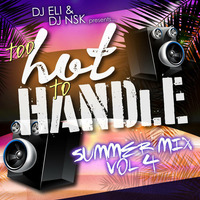 Too Hot 2 Handle Vol.4 by DJ ELI