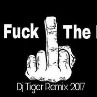 Fuck The DJ ---  ( Mashup ) --- Dj Tiger...Remix 2017 (hearthis.at) by Dj Tiger