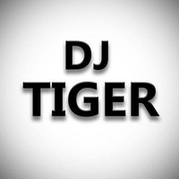 Chadti jawani - Hip Hop Mix - Dj Tiger Remix by Dj Tiger