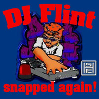 DJ Flint Snapped Again! by DJ Flint