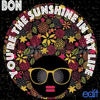 BON - You're The Sunshine In My Life (Premaster) Sample by Edit Records