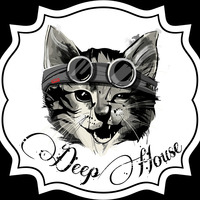 The Stray Cat of Deep House 2017 by Sören R.