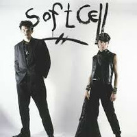 The Seedy Soft Cell by Tony Stewart