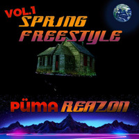 SPRING MIX VOL 1 (VARIOUS FORMS OF HOUSE MUSIC) PUMA B2B REAZON by reazonrockz1