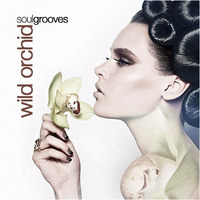 SoulGrooves - Wild Orchid by SoulGrooves