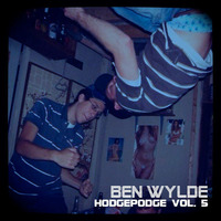 Hodgepodge Vol. 5 by Ben Wylde
