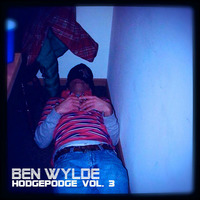 Hodgepodge Vol. 3 by Ben Wylde