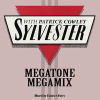 Sylvester Megatone Megamix (MegaMixed by Fabrice Potec) by Fabrice Potec aka DJ Fab (DMC)