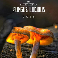 Pi Paradox @ Fungus Lucidus 12.03.16 by Pi Paradox [Technophobia Records/Israel]