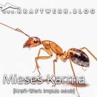 Mieses Karma [#0340] @Kraftwerk_MaxFichtner by Max Fichtner (de)