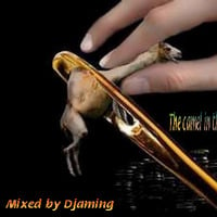 The camel in the eye of a needle ( 2019 Mixed By Djaming) by Gilbert Djaming Klauss