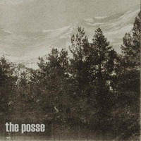 The Posse 001 / The Domino Affect by meistsonnig
