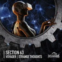 Section 63 - Voyager / Strange Thoughts (INMS009)