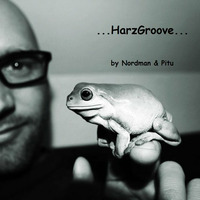 °HarzGroove .mp3° by °Nordman°