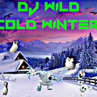Dj WilD - Cold Winter 2016 by Dj WilD