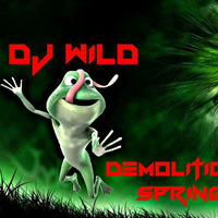 Dj WilD - Demolition Spring 2016 by Dj WilD