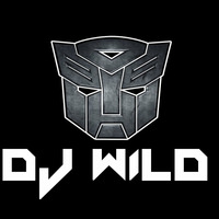Dj WilD - Noise Of Destruction by Dj WilD