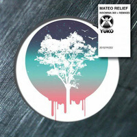 Mateo Relief - Insomia 303 (MrEH Remix) by Eric Houbron / MrEH