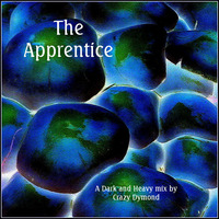 The Apprentice by Mark Blood