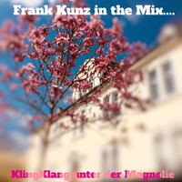 KlingKlang unter der Magnolie by Frank Kunz