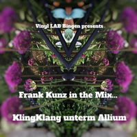 KlingKlang unterm Allium by Frank Kunz