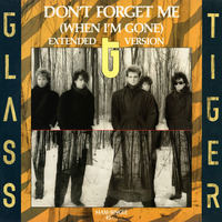 Glass Tiger - Don't Forget Me (When I'm Gone) (German 12") by The Music Archive