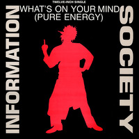 Information Society - What's On Your Mind (Pure Energy) (US 12'') by The Music Archive