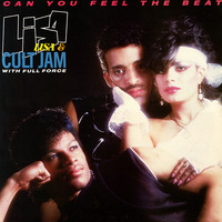 Lisa Lisa & Cult Jam With Full Force - Can You Feel The Beat (US 12") by The Music Archive