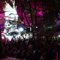 Jungle Beat Festival 2018