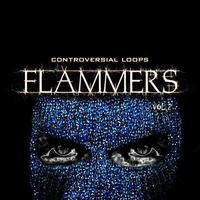 Flammers Vol 2 - Controversial Loops by Producer Bundle