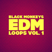EDM Loops Vol 1 by Producer Bundle