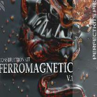 Ferromagnetic Vol.1 by Producer Bundle