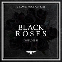 BLACK ROSES Vol 2 - OldyMBeatz by Producer Bundle