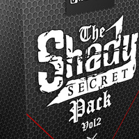 Shady Secret Vol 2 - LBandyMusic by Producer Bundle
