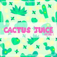 Cactus Juice 1 by Producer Bundle