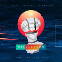 Dissection by Producer Bundle