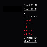 Calvin Harris, Disciples, Rehab, Kings Of Drums - How Deep Is Your Love (Binomio MashUp) by Binomio