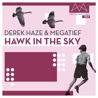 Derek Haze &amp; megatief - Hawk In The Sky (Original Mix) - MDKI [FD#007] (FREE DOWNLOAD) by megatief